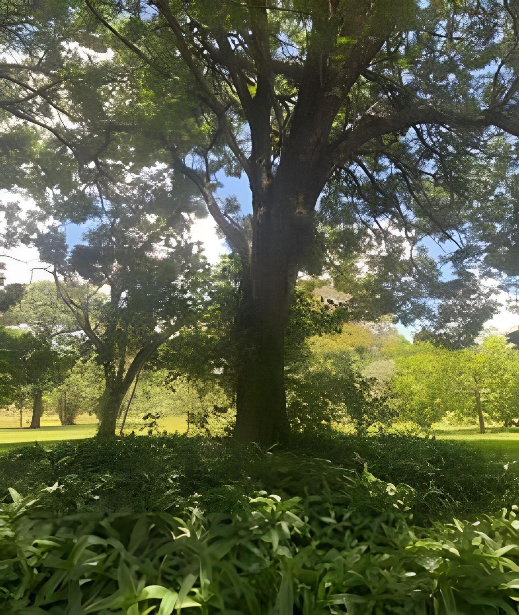 Asa Sul - Ao Lado Do Parque Da Cidade! Brasilia