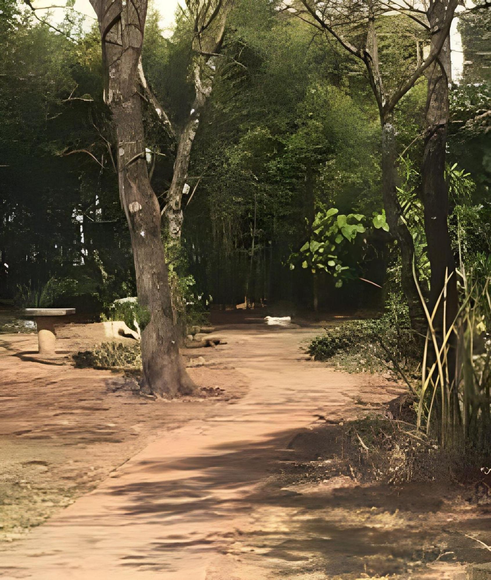 公寓 Asa Sul - Ao Lado Do Parque Da Cidade! *